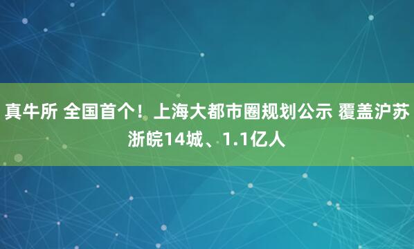 真牛所 全国首个！上海大都市圈规划公示 覆盖沪苏浙皖14城、1.1亿人